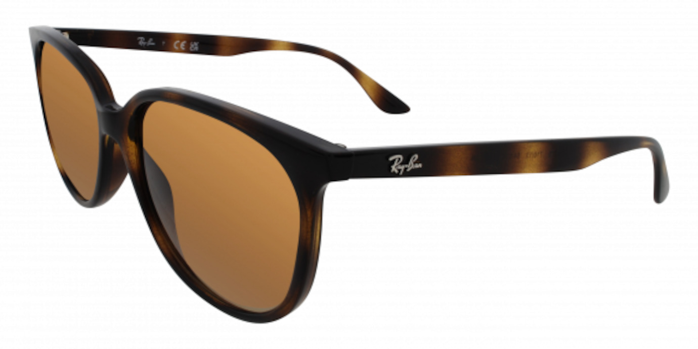 Ray-Ban 0RB4378 11